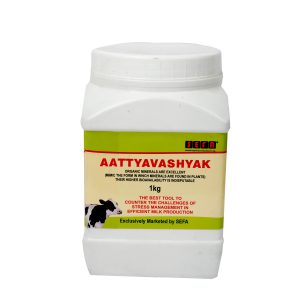 Atyavsyak